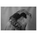 By Ricky Cohete