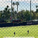 Baseball (13)