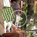 Joe in Tulum V (23)