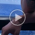 Joe D Martinez Gay Cruz (38)