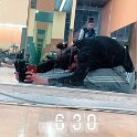 Miscellaneous (208)