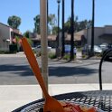 Miscellaneous (319)
