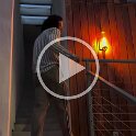 Joe D Martinez Modevational Videos (9)