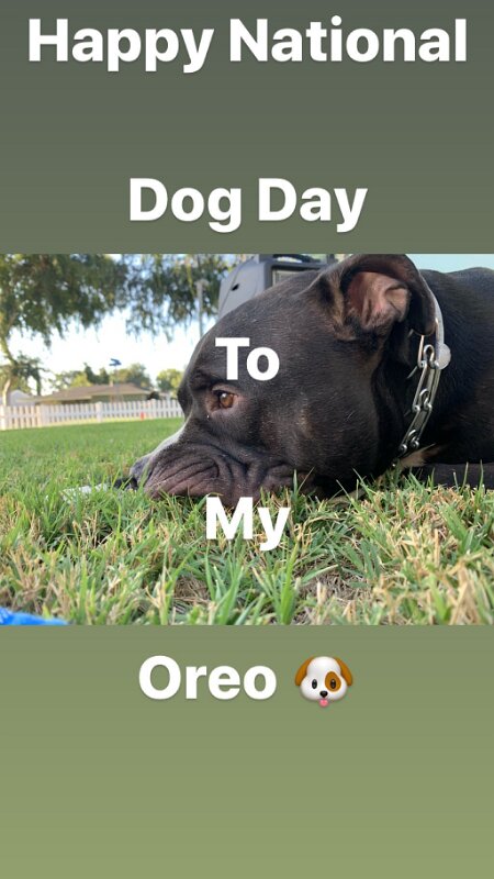 Joe D Marinez Pets (39)