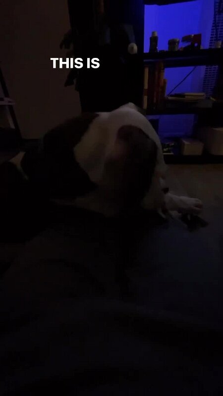 Play video