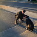 Joe D Marinez Pets (21)