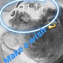 Joe D Marinez Pets (29)