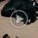 Joe D Martinez Pets V (16)