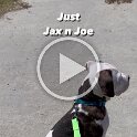 Joe D Martinez Pets V (34)