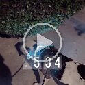 Joe D Martinez Pets V (58)