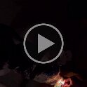 Joe D Martinez Pets V (69)