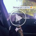 Joe D Martinez Pets V (74)