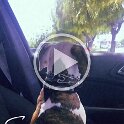 Joe D Martinez Pets V (75)