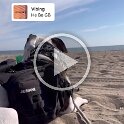 Joe D Martinez Pets V (77)