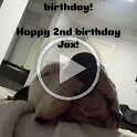 Joe D Martinez Pets V (79)