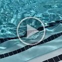 Miscellaneous (118)