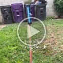 Miscellaneous (315)