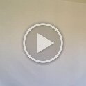 Miscellaneous (337)
