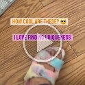 Miscellaneous (77)