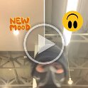 Work outs V (48)