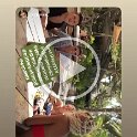 Tulum 2020 (10)