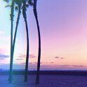 Joe D Martinez Insta Gram (65)
