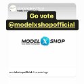Joe D Martinez Model X shop (133)