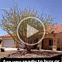 Joe D Martinez Real Estate V (22)