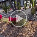 Joe D Martinez Real Estate V (36)