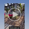 Joe D Martinez Real Estate V (52)